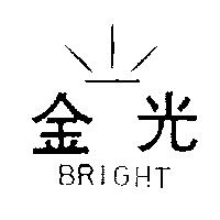 金光及圖 BRIGHT