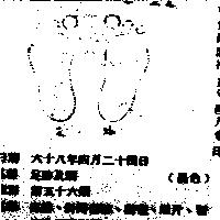 足跡及圖