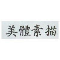 美體素描