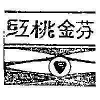 紅桃金芬
