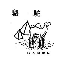 駱駝及圖 CAMEL