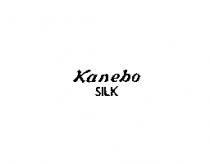 Kanebo SILK
