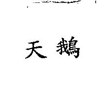 天鵝