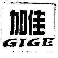 加佳及 GIGE