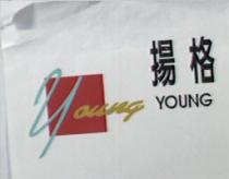 揚格 YOUNG 及圖