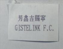 芳鑫吉賜寧 GISTELINK F.C.