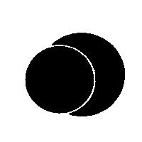 新高橋藥局標章