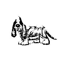 龍馬躍維保動物科技股份有限公司標章
