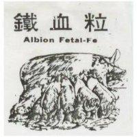 鐵血粒及圖 Albian Fetal-Fe