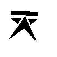 天星運動器材行標章