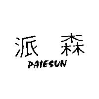 派森 PAIESUN