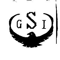 GSI 及圖
