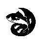 魚圖