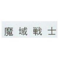 魔域戰士