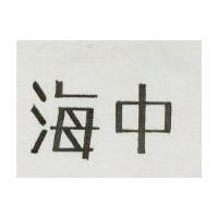 海中