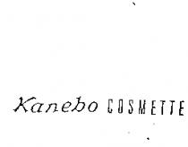Kanebo COSMETTE