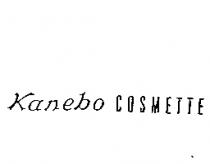 Kanebo COSMETTE
