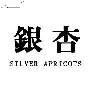 銀杏 SILVER APRICOTS