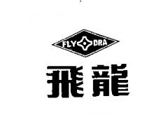 飛龍及圖 FLY DRA