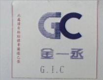 金一丞 G.I.C 及圖