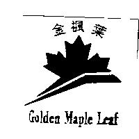 金楓葉及圖 Golden Maple Leaf
