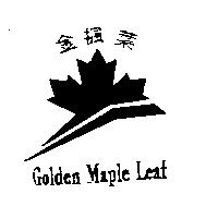 金楓葉及圖 Golden Maple Leaf