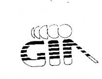 GIA 及圖