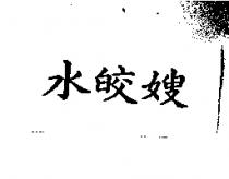 水皎嫂