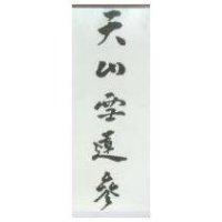 天山雪蓮參