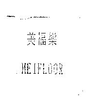 美福樂 MEIFLOOR