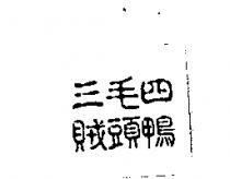 三毛四賊頭鴨