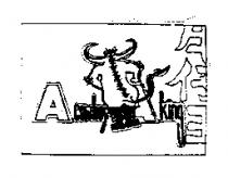 牛仔王 A cowboy A king 及圖