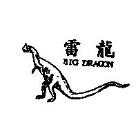 雷龍 BIG DRAGON 及圖