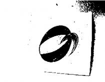 南僑化學工業股份有限公司標章