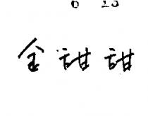 金甜甜