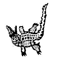 科莫多龍圖