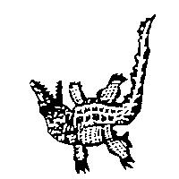 科莫多龍及圖