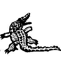 科莫多龍圖
