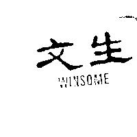 文生 WINSOME