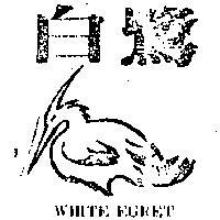白鷺及圖 WHITE EGRET 