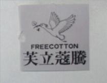 芙立蔻騰及圖 FREECOTTON