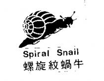 螺旋紋蝸牛及圖 Spiral Snail