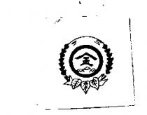 金及圖