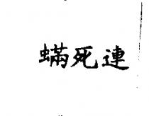 蟎死連