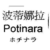 波蒂娜拉 Potinara ホチナラ