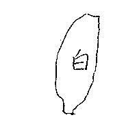 白及圖