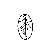 生展貿易有限公司標章