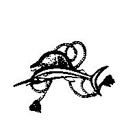 魚圖