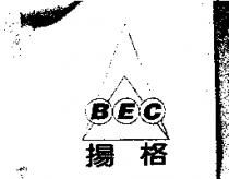 揚格及 BEC 圖
