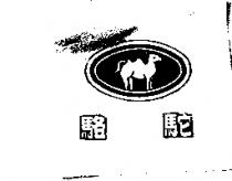 駱駝及駱駝圖